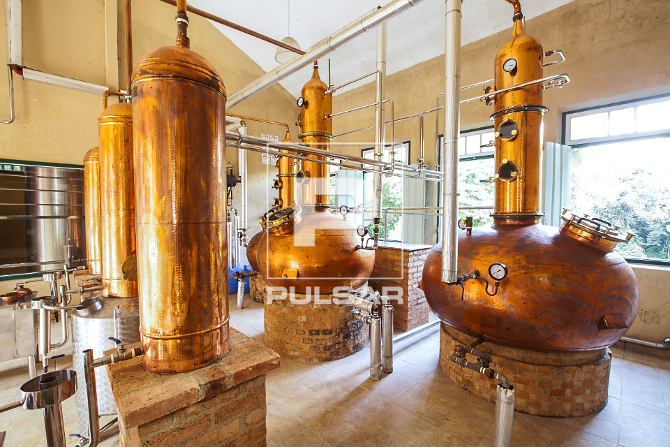 Diferenças entre cachaça branca e envelhecida