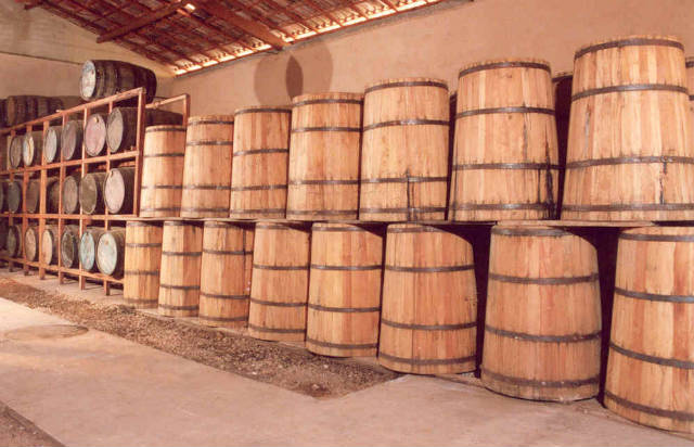 Guia completo para obter o CNPJ para produção de cachaça