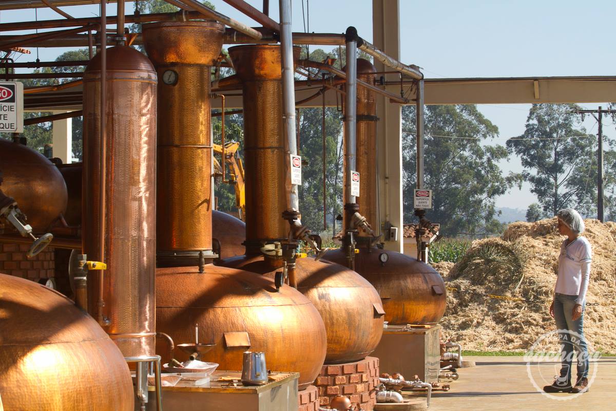 produção de cachaça artesanal