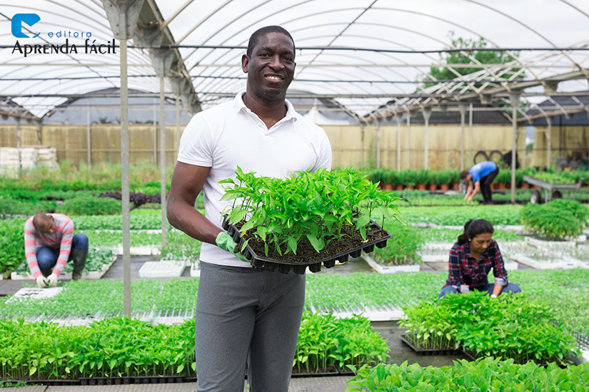 tipos de propagação de plantas