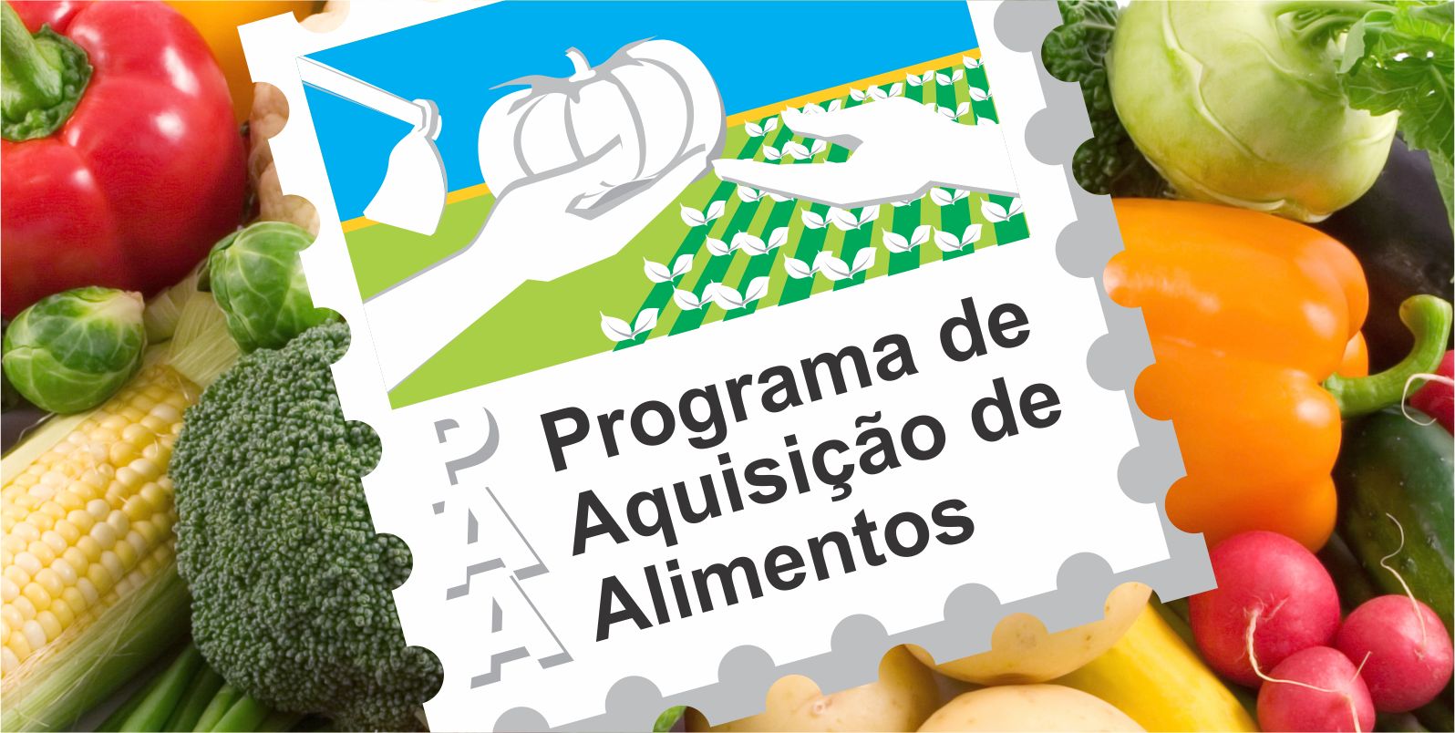 programa de aquisição de alimentos