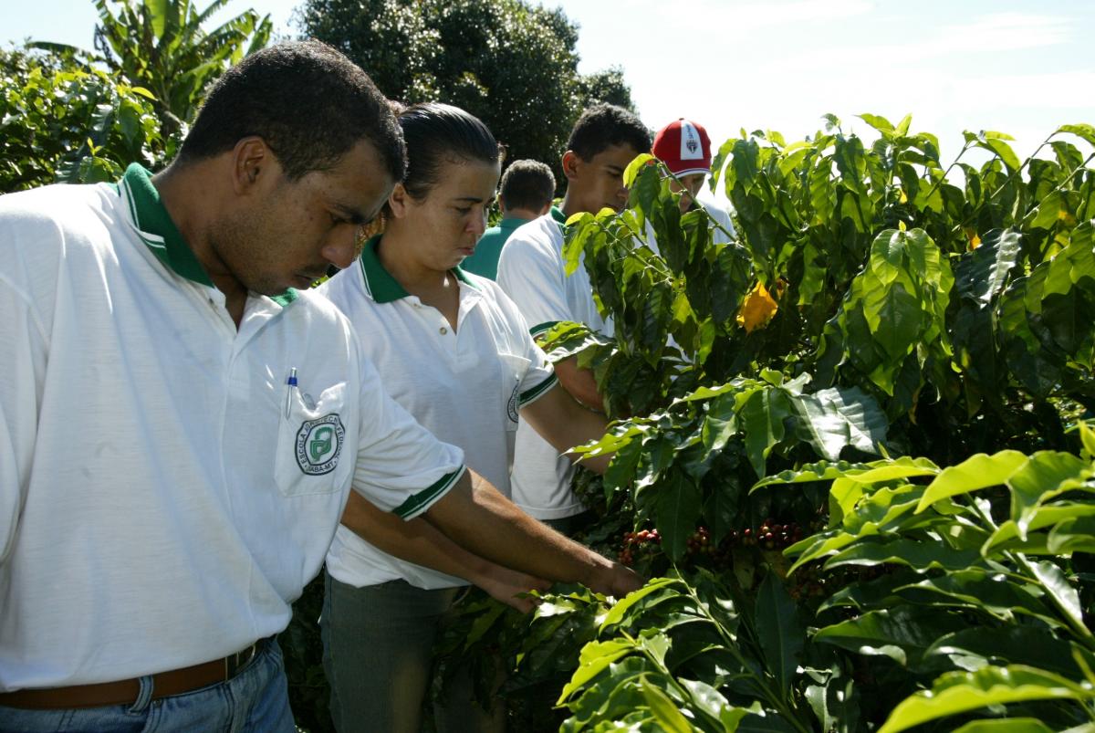Cursos Gratuitos de Agroecologia e Agricultura Familiar pelo Pronatec