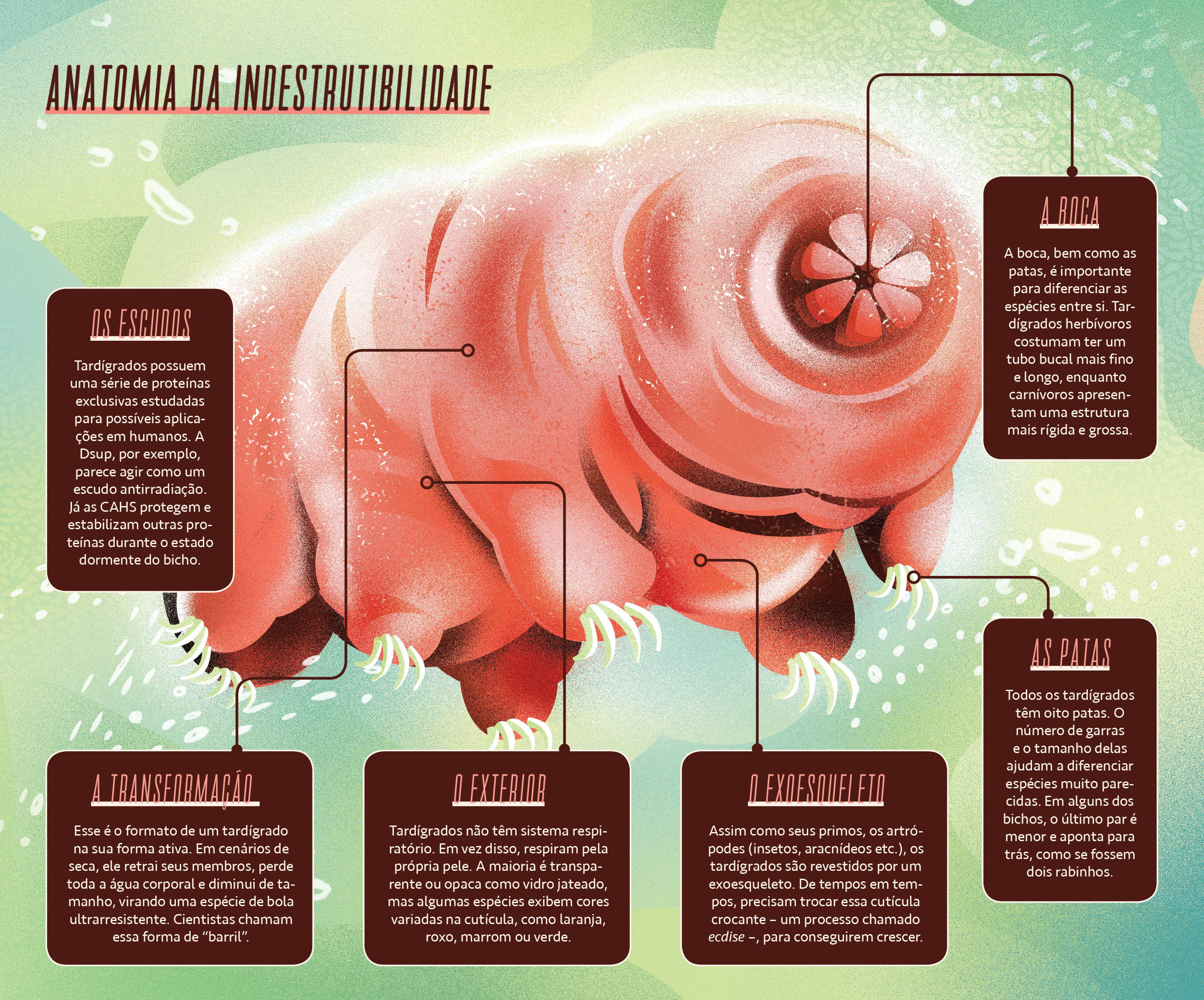 criaturas de movimento lento