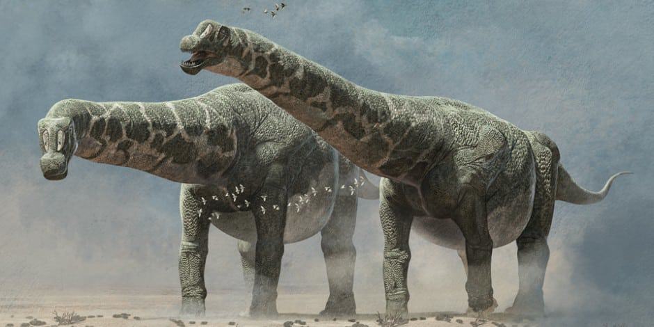 Descobertas Recentes: O Perucetus Colossus e Seu Peso