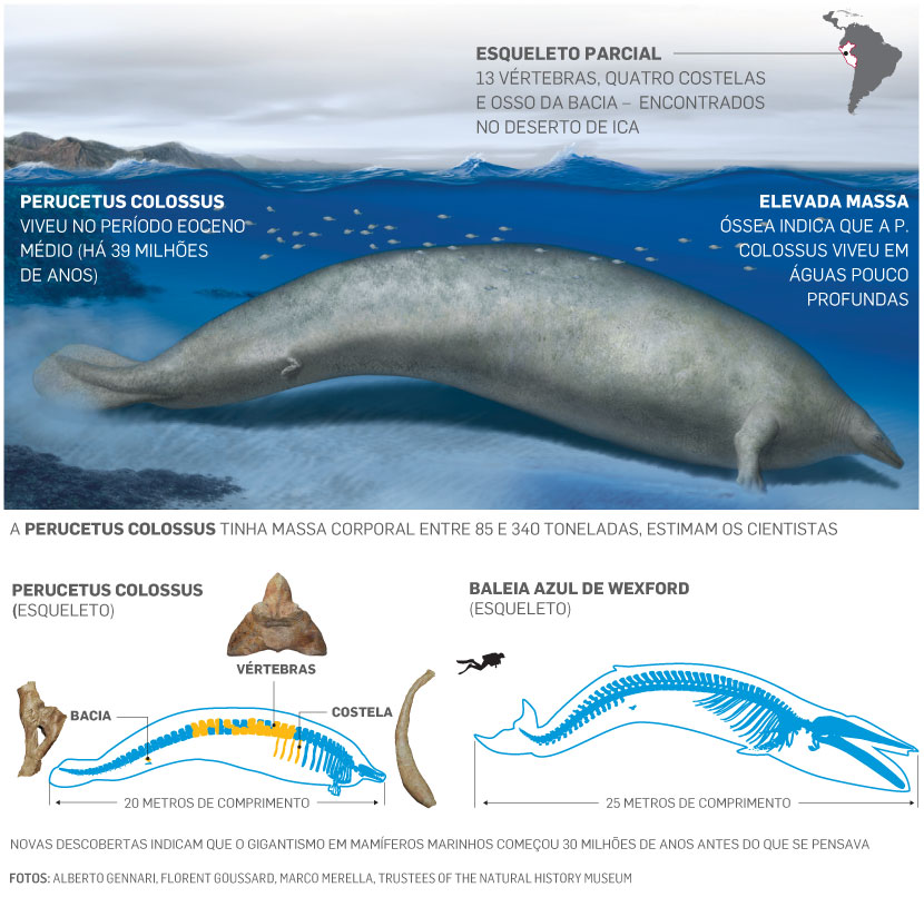 qual o maior animal que já existiu