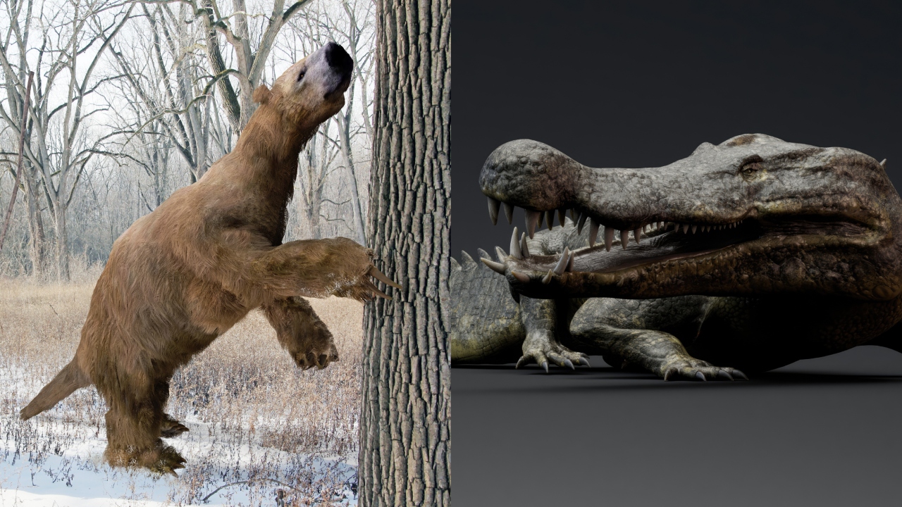 Comparativo: Baleia Azul vs. Argentinossauro