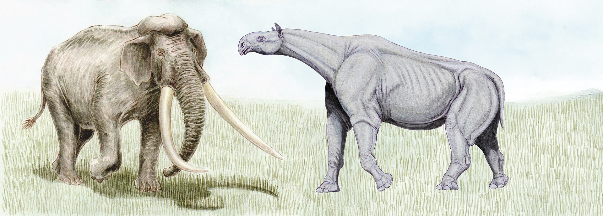 Descobertas Recentes: O Perucetus Colossus e Seu Peso