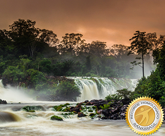 Biodiversidade e Fauna do Tumucumaque: O que Encontrar