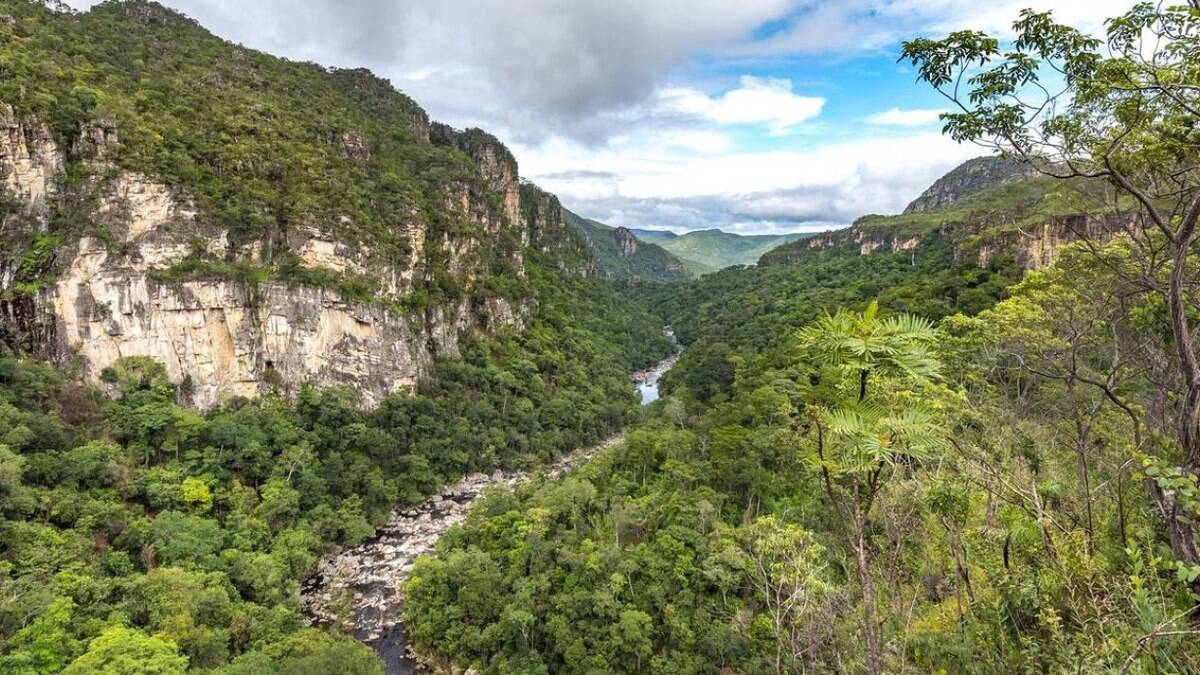qual o maior parque nacional do brasil