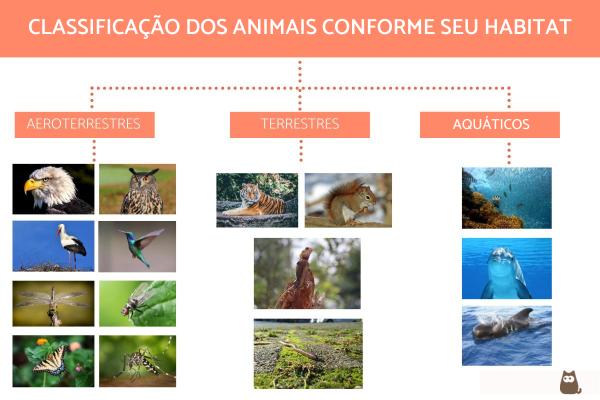 quantas espécies de animais existem