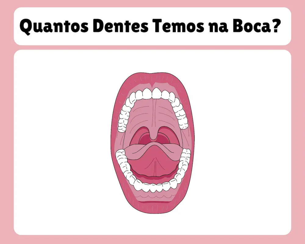 quantos dentes um adulto tem