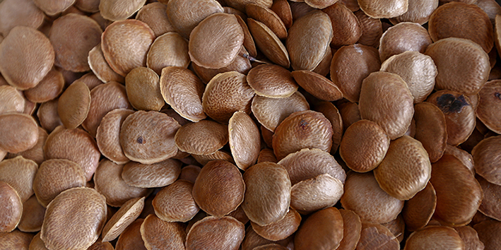 Dieta e Chás: A Combinação Perfeita para Controlar o Ácido Úrico