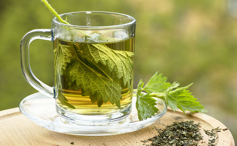 Guia Completo: Como o Chá de Quebra-pedra Pode Ajudar Seus Rins