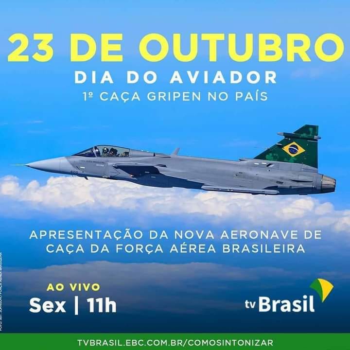 origem do Dia do Aviador