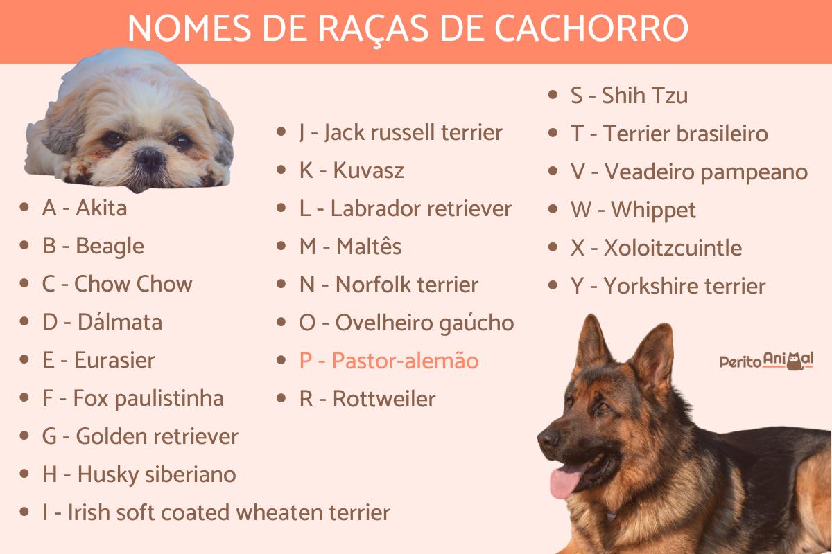 cachorros com G