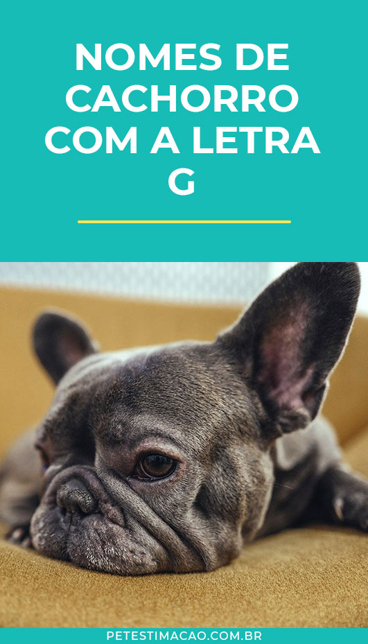 raças de cães letra G
