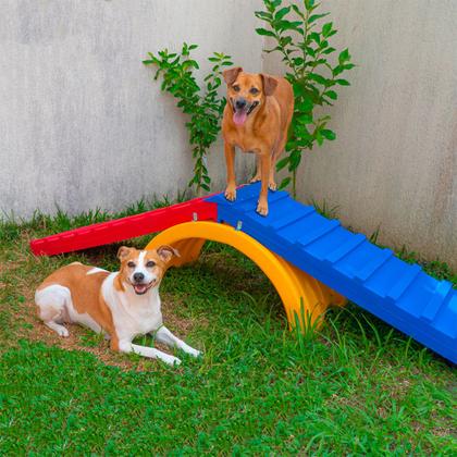 Rampas para cachorro: guia completo de materiais e capacidades de peso