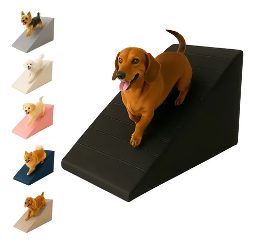 Benefícios da rampa para cães: prevenção de lesões e conforto