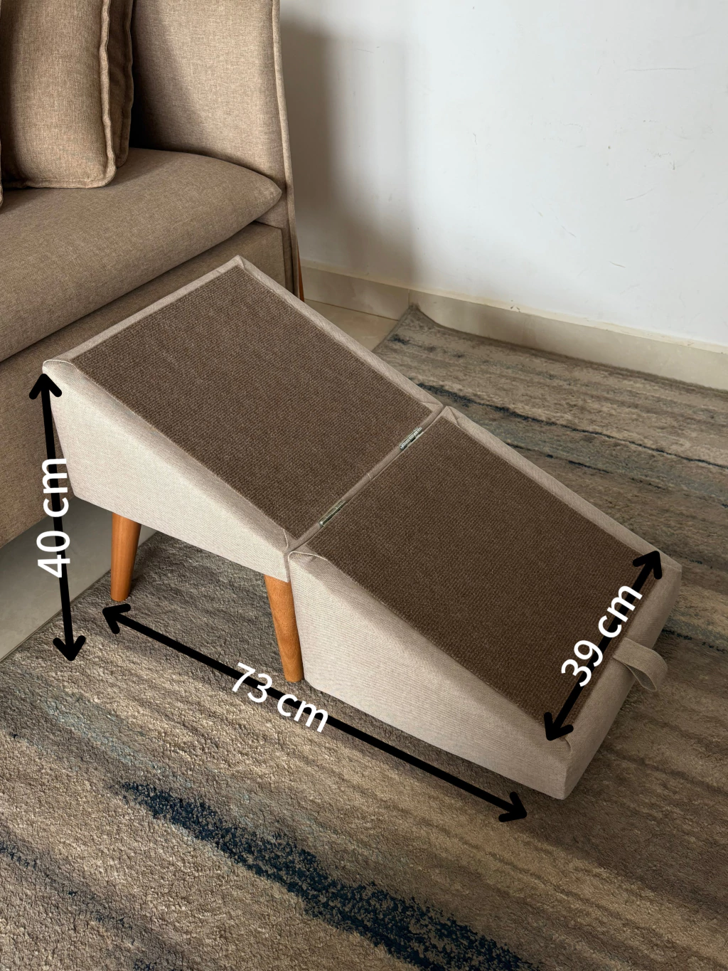 Como escolher a rampa ideal para cães idosos e com problemas de coluna