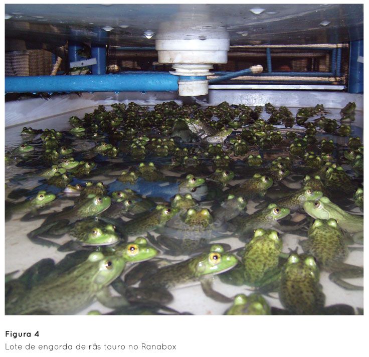 Aproveitamento Integral dos Subprodutos da Rã