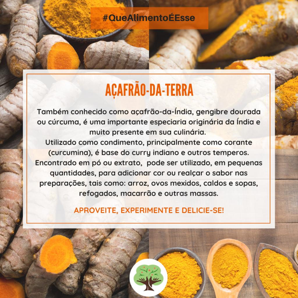 Receitas Com Açafrão Da Terra