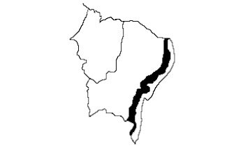 mapa mudo da região nordeste para imprimir