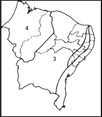 mapa gigante da região nordeste para montar e colorir