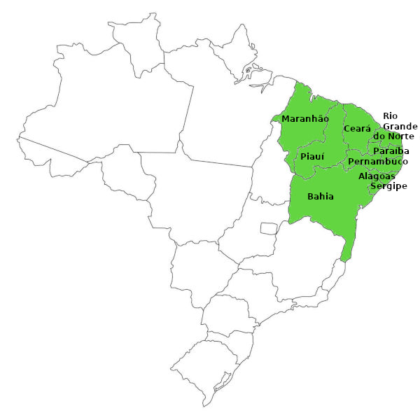 mapa gigante da região nordeste para montar e colorir