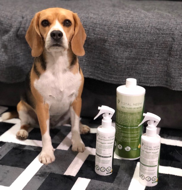 Como escolher o melhor repelente para cachorro?