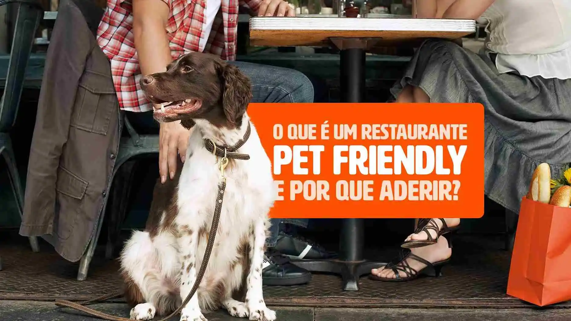 cafés com área para cachorros