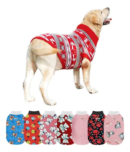 Guia Completo: Como Medir Seu Cachorro para Roupas Perfeitas