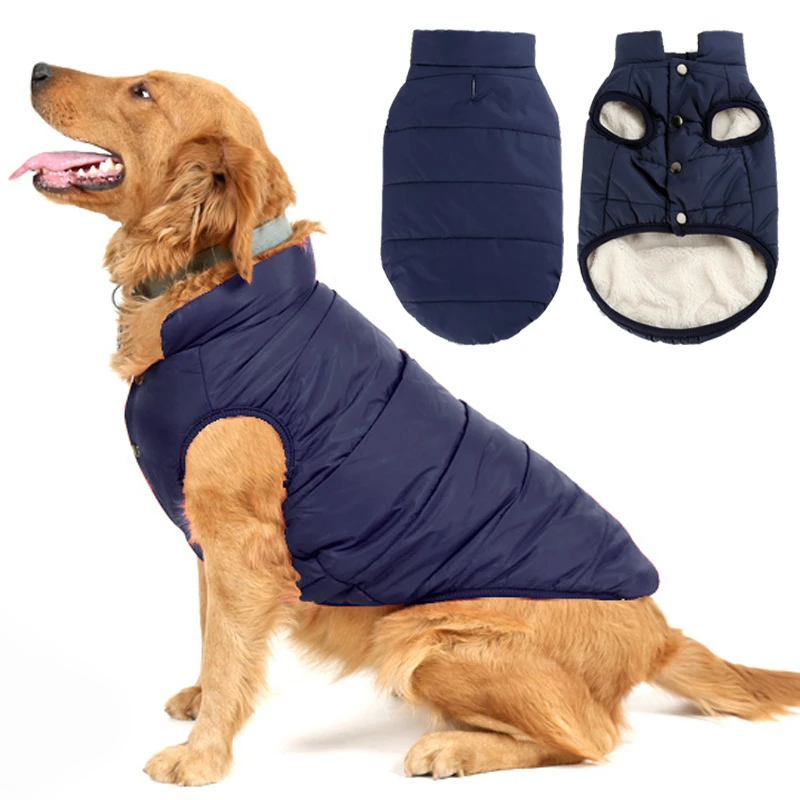 Além do Estilo: A Importância da Roupa de Cachorro para a Saúde e Bem-Estar