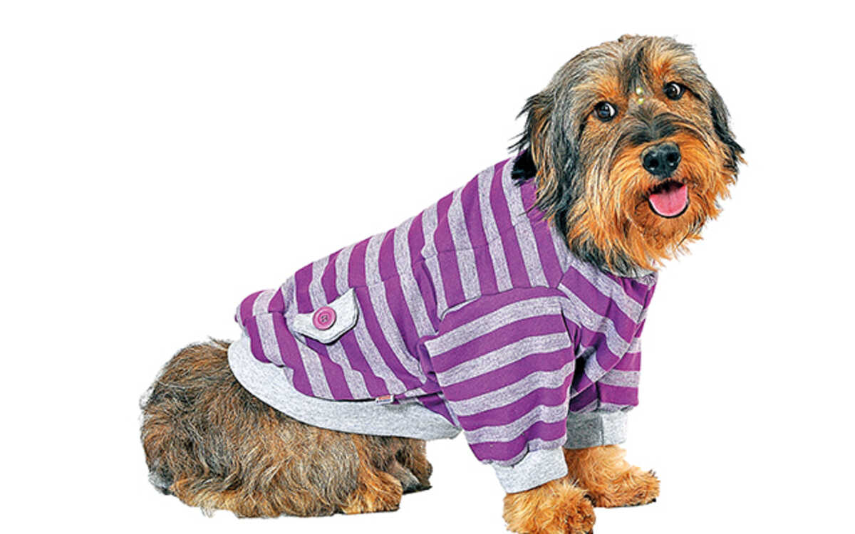 Tecidos para Roupas Pet: Qual Escolher para Conforto e Durabilidade?