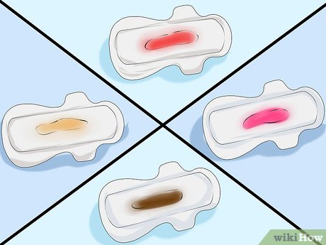 Sangramento Depois Do Parto