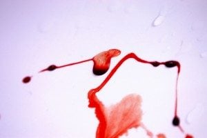 1. Entendendo as Fases do Lóquio: Um Guia Completo
2. Sangramento Pós-Parto: Sinais de Alerta e Quando Procurar Ajuda Médica
3. Cuidados Essenciais Durante o Puerpério: O Que Saber Sobre o Sangramento
4. Amamentação e Sangramento Pós-Parto: O Que Esperar?
5. Mitos e Verdades Sobre o Sangramento Pós-Parto