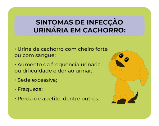 Pedras na bexiga do seu cão: sinais