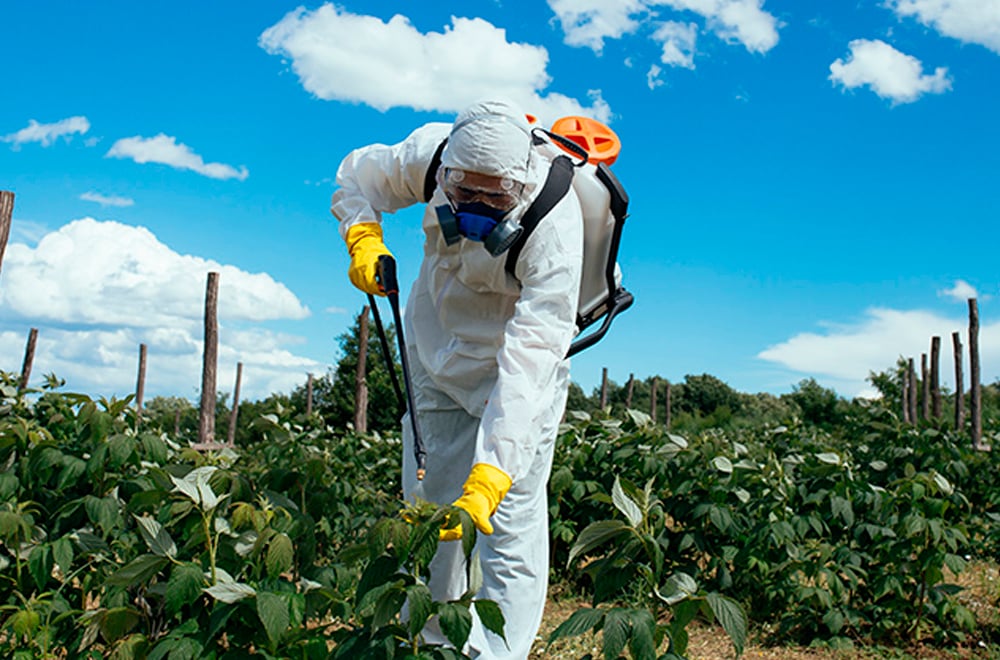 segurança no trabalho rural