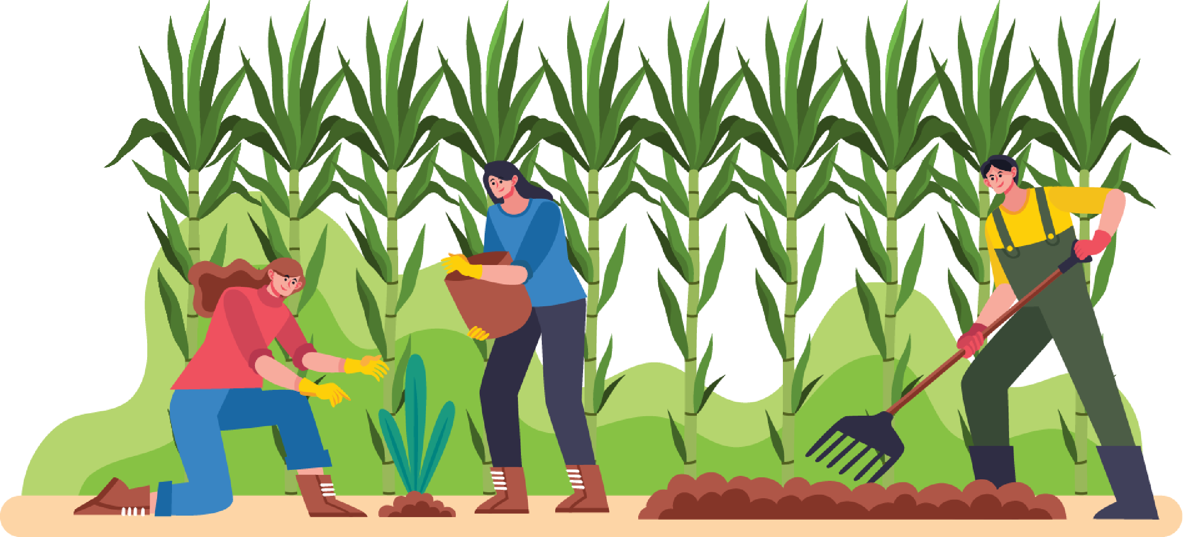 gerenciamento de riscos no trabalho rural PGRTR