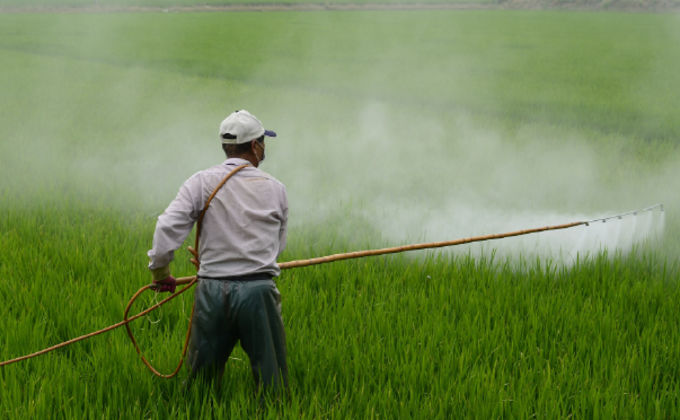 treinamento NR 31 SENAR