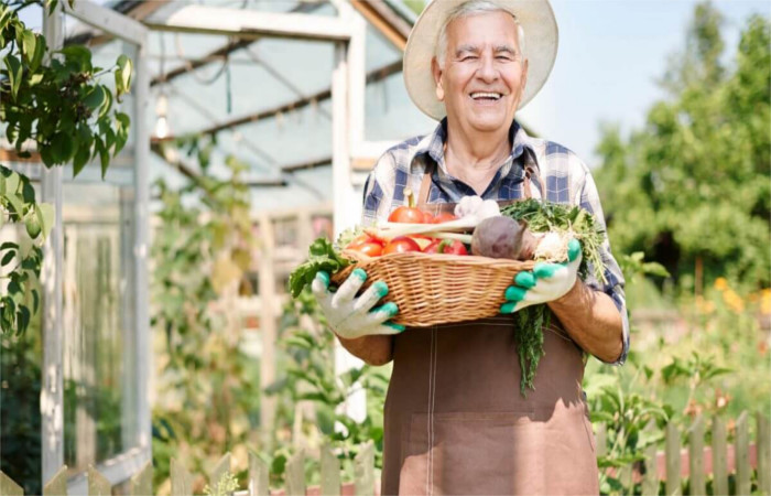 segurança no campo e NR 31