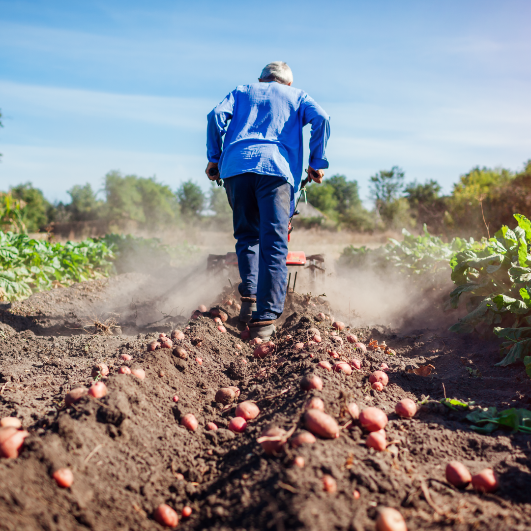 prevenção de acidentes rurais