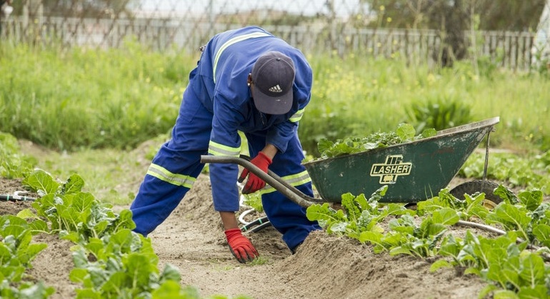 prevenção de acidentes rurais