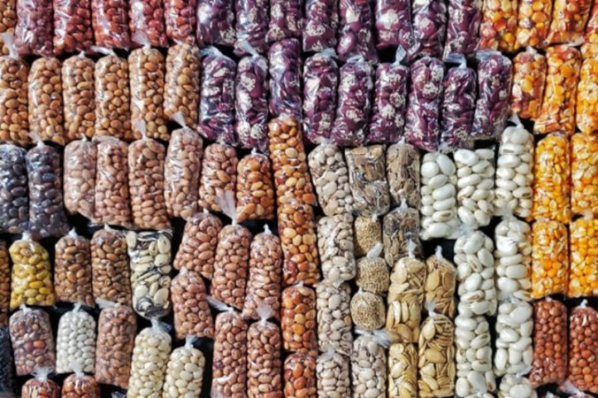 cultivo de sementes crioulas