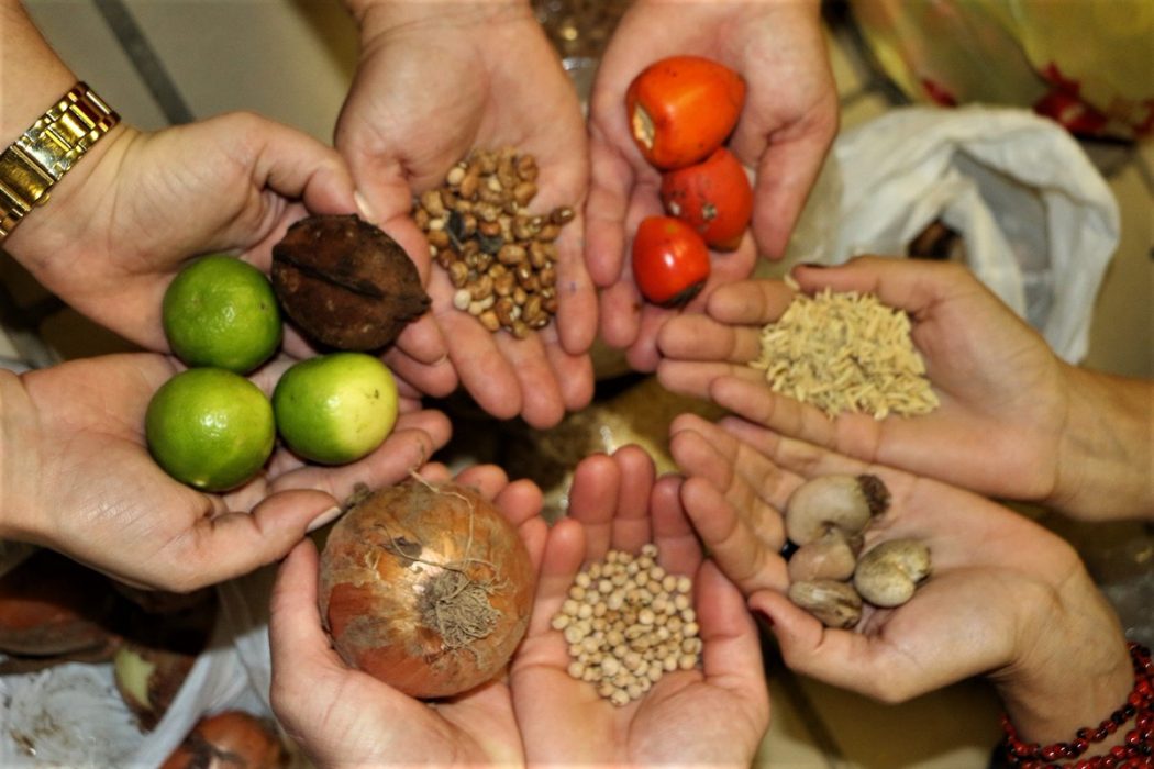 biodiversidade sementes crioulas