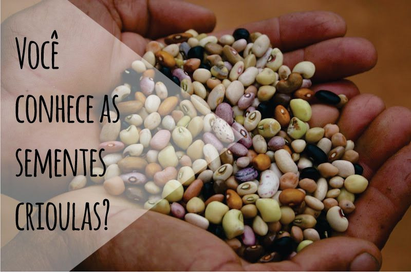 sementes crioulas