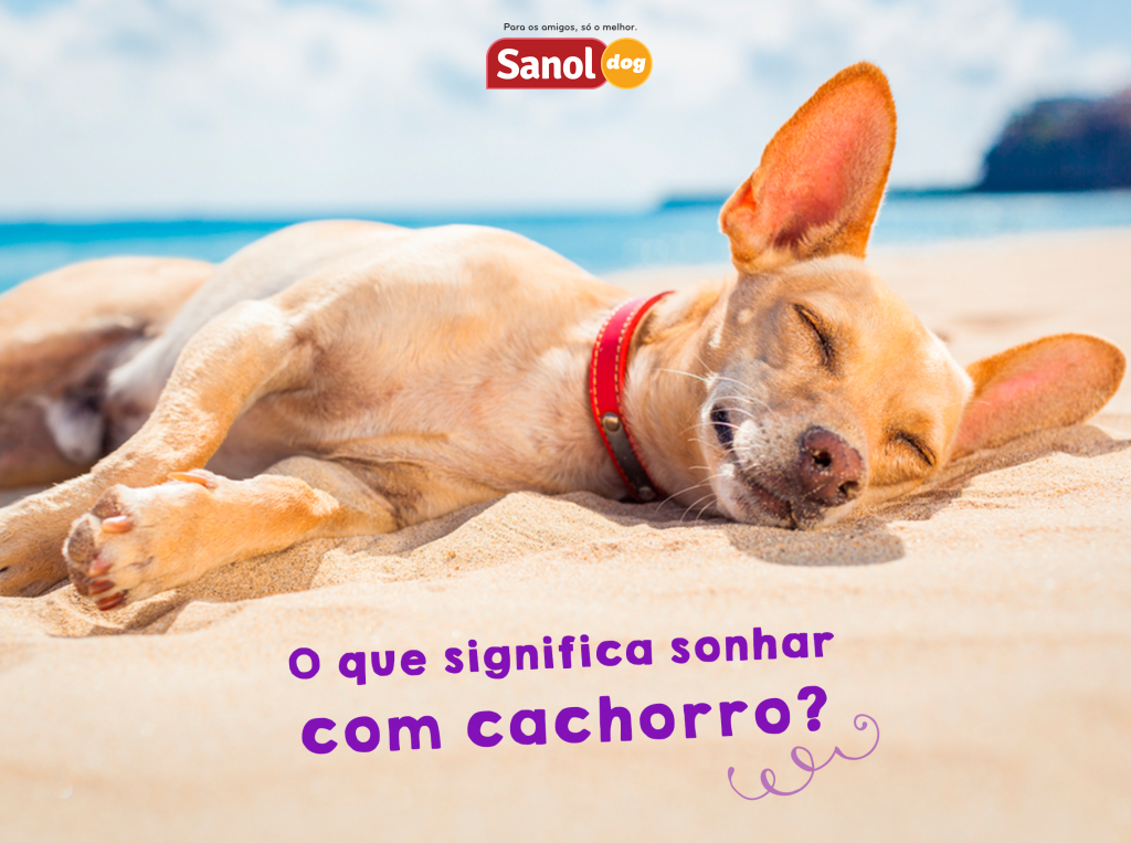Desvendando o Significado de Sonhar com Filhote de Cachorro