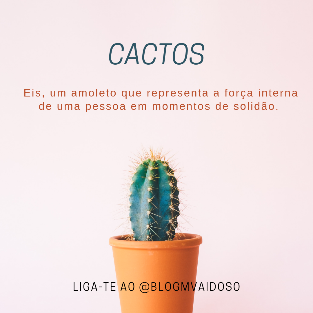 melhores lugares cacto casa energia positiva