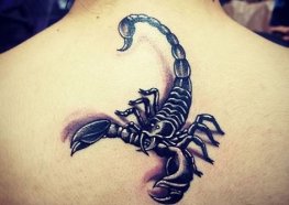 Significado Tatuagem De Escorpião