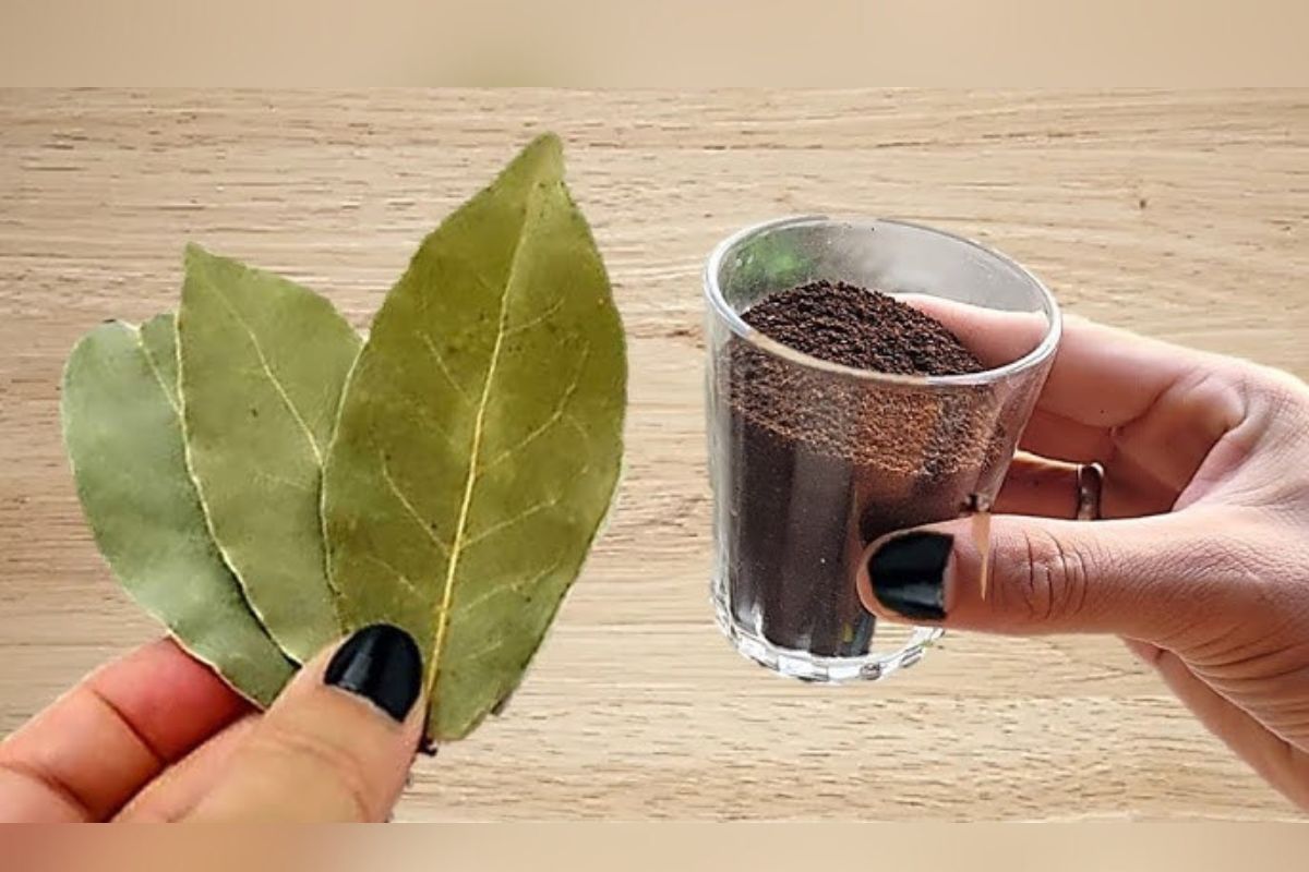 Mude Sua Sorte: Dicas Comportamentais Comprovadas