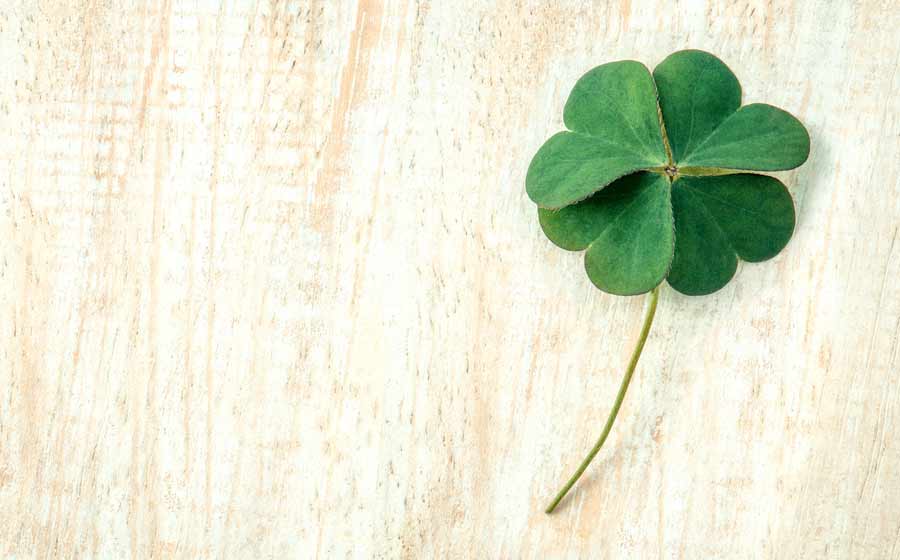 Simpatias Para Ter Sorte